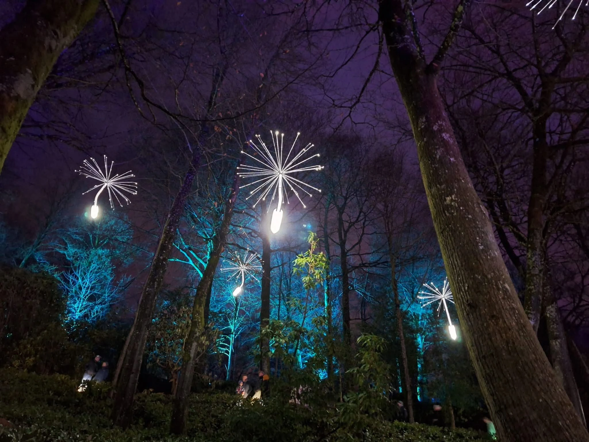 Christmas @ Stourhead